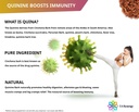 quina-capsules-500mg-cinchona-red-bark-natural-herbal-supplement-leg-cramp-rel-04-4cfbde5a14ad8a4c99571bf1e0f6624d.jpg