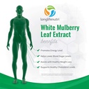 white-mulberry-leaf-extract-2-500mg-200-veg-caps-blood-sugar-level-control-sup-05-1fed33526fa60aaad36d30457320403e.jpg