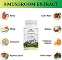 active-hexose-correlated-compound-1500-mg-supplement-natural-8-mushroom-extract-08-db13e6fb402ea00e11f0da4d2bc5111b.jpg