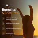 adrenal-support-natural-adrenal-fatigue-supplements-cortisol-manager-with-ash-04-b3d9fe250850baf408fc6c40327bb5c5.jpg