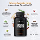 adrenal-support-natural-adrenal-fatigue-supplements-cortisol-manager-with-ash-05-1654ca251b4157eade0c3a88c08c151c.jpg