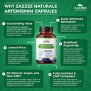 zazzee-artemisinin-100-mg-per-cap-120-veggie-caps-4-month-supply-plus-5-mg-b-02-af22e0f004179cde5dcd1c51e551e4a1.jpg
