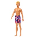 Barbie Beach Ken Doll with Blond Hair Wearing Purple Swimsuit