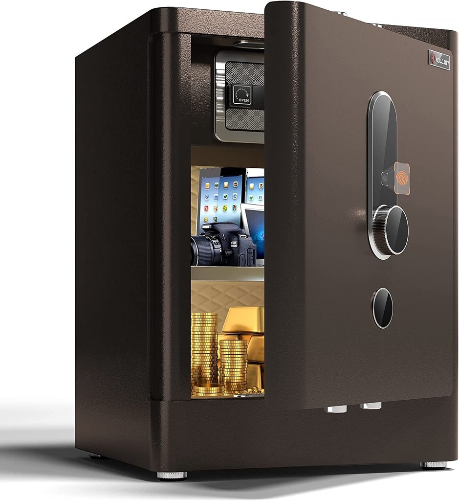 HOLOJOY Biometric Fingerprint Home Safe Box for Money Office Personal Safe With