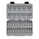 TEKTON 1/2 Inch Drive Torx/Tr Torx Bit & External Star Socket Set, 30-Piece (T20-T60, TR20-TR60, E8-E24) | SKT25402