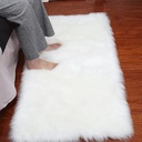 Noahas Faux Fur Sheepskin Area Rug Soft Shag Rug Silky Area Rug Decor Washable Non-Slip Rug 2 X 3 Feet, White