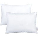 Ntbay 2 Pack Cotton down Alternative Soft and Breathable Toddler Pillows, Easy Care Travel Small Pillows for Sleeping, Ideal for Daycare, Crib, Cot, 13" X 18"