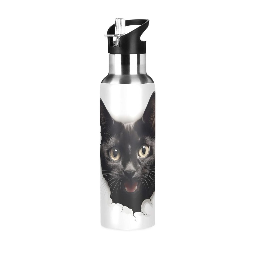 Cat in Wall Water Bottles Insulated Thermos Kids Stainless Steel Bottle with Straw Lid Flask Leakproof for Sports Gym 20 Oz
