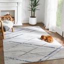 RUGKING Modern Design Area Rug 5X7 for Living Room Washable Accent Rug Foldable Nonslip Rug Thin Carpet Blue Grey