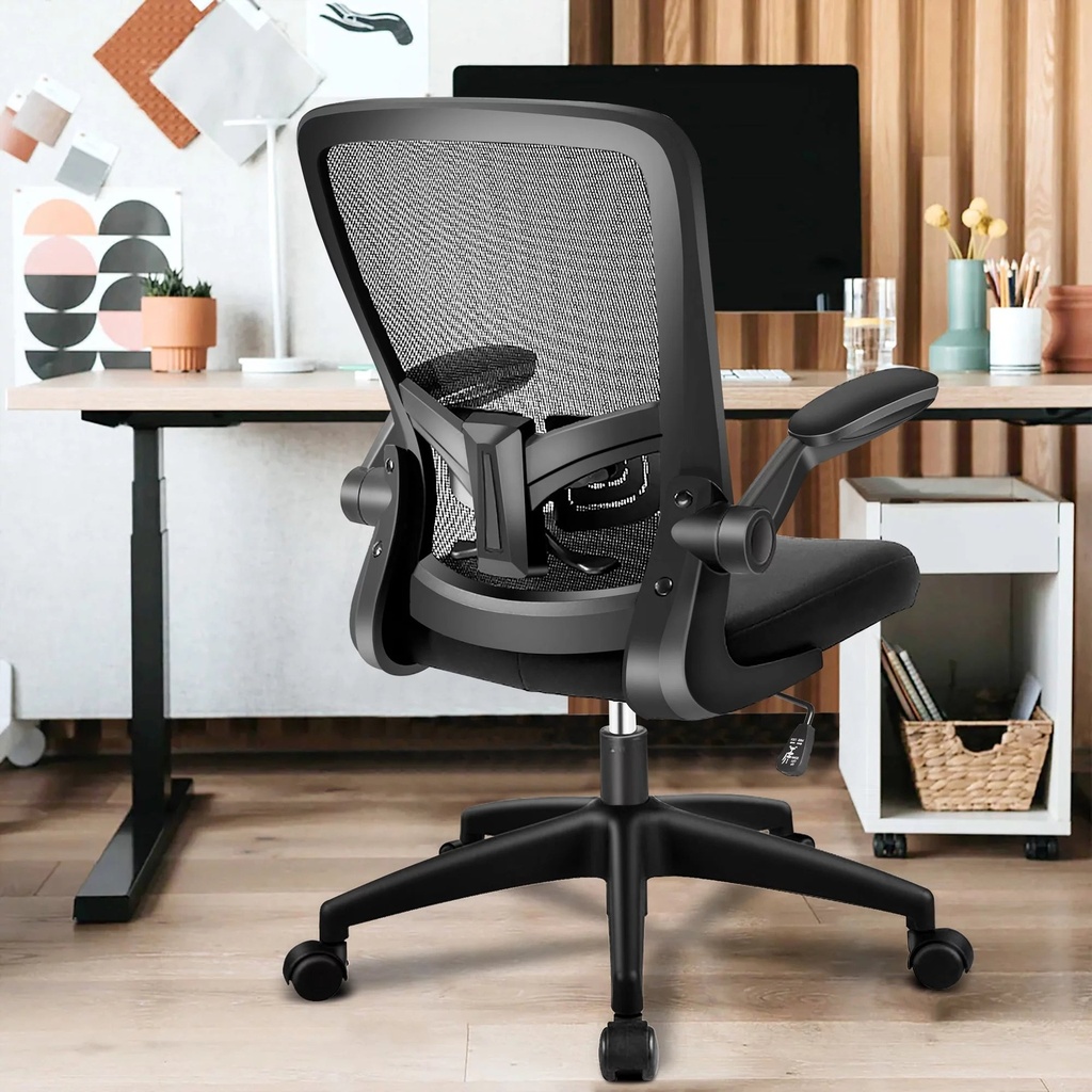 Coolhut Ergonomic Office Chair, Task Chair, Comfort Desk Chair with Adjustable Lumbar Support and Flip up Arms, 300Lb, Black