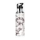 Stainless Steel Water Bottle Jurassic Dinosaur with Straw Lid Vacuum Insulated Keeps Hot and Cold Leak Proof Flask Jug for Gym Travel Sports Cycling Outdoor 20 OZ