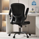 Lioncin Ergonomic Office Chair, Comfort Home Office Task Chair, Lumbar Support Computer Chair with Flip-Up Arms and Adjustable Height,Black