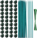 Jetec 40 Pieces Orchid Clips Plastic Garden Plant Clips with 20 Pieces Plant Support Stakes, 20 Pieces Metallic Twist Ties for Supporting Stems Vines Stalks Grow Upright (38 Cm)