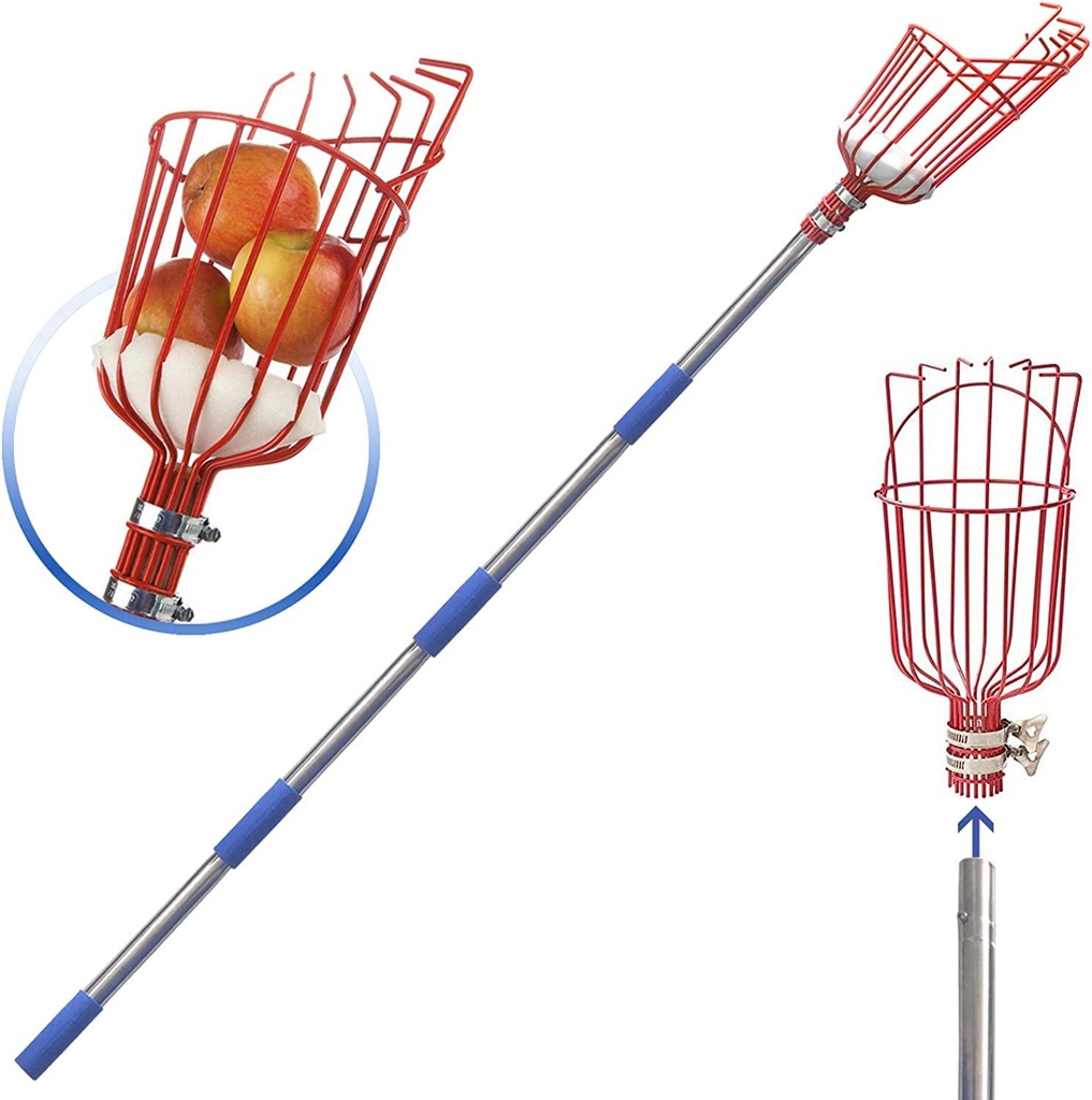 Diig Fruit Picker, 8-Foot Fruit Picker Tool with Stainless Steel Connecting Pole, Fruit Picking Equipment for Getting Fruits Lemons, Apples, Guavas, Avocados, Pears, Mangoes, Oranges, Citrus