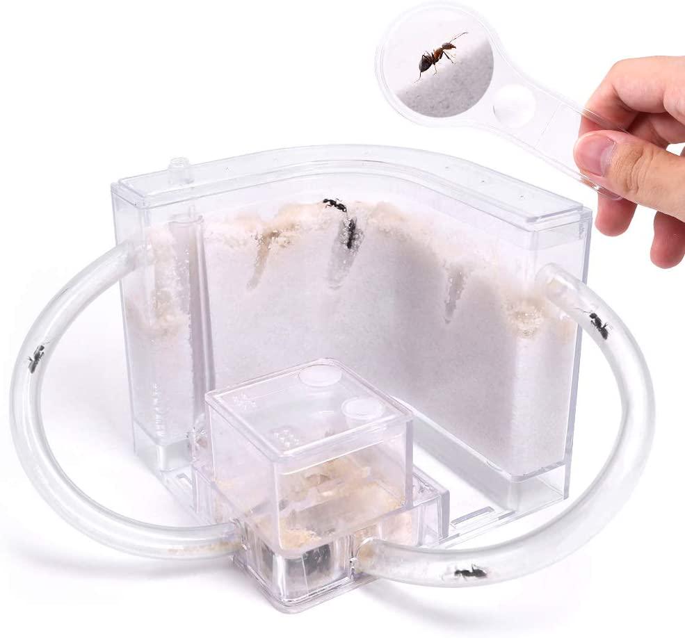 NAVAdeal Sand Ant Farm with Connecting Tubes, Habitat Educational and Learning Science Kit Toy For Kids and Adults - Allows Study of Ecosystem, Behavior of Ants, Explore The World At Home and School