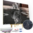 ARTISTRY RACK 5D DIY Diamond Painting Kits for Adults for Home Wall Decor Art Perfect for Relaxation (Cat's Reflection)