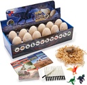 Dino Eggs Dig Kit - Excavation Dinosaur Fossil Dig Kit for Kids with 12 Break Open Eggs, Chisel Tools and Illustration Learning Cards - Fun Educational Surprise Toys for Boys and Girls - Ages 6+