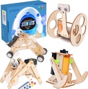 4 Wooden Motor Robotic Science Kits, DIY STEM Toys for Kids, Building Science Experiment Kits for Boys and Girls