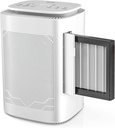 Thecosky Air Dehumidifier and Air Purifier Combo,Hepa H13 Air Filter and Negative Air Ion,Au Plug | 1600Ml Water Tank | Touch Control | 24Hrs Auto-Off Timer | Drain Hose for Bedroom，Basement,Living Room,Bathroom,Rv,Garage
