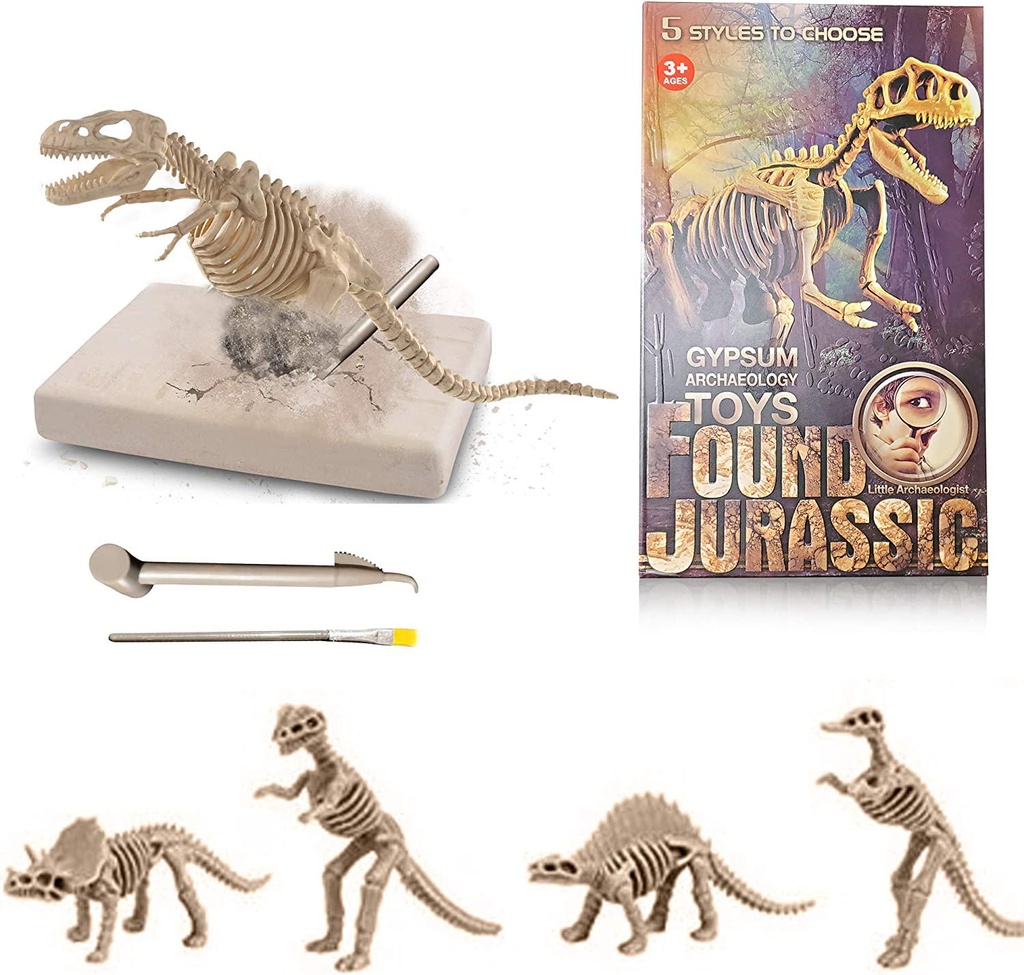 Buddy N Buddies Dinosaur Fossil Excavation Kits ,Children's Popular Science Education Toys(Tyrannosaurus)