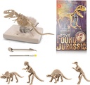 Buddy N Buddies Dinosaur Fossil Excavation Kits ,Children's Popular Science Education Toys(Tyrannosaurus)