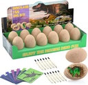 Dinosaur Eggs Excavation Dig Kit - Dinosaur Toys for Kids - Break Open 12 Dinosaur Eggs and Discover 12 Cute Dinosaurs - Archaeology Preschool Science STEM Crafts Birthday Gifts for Boys Girls