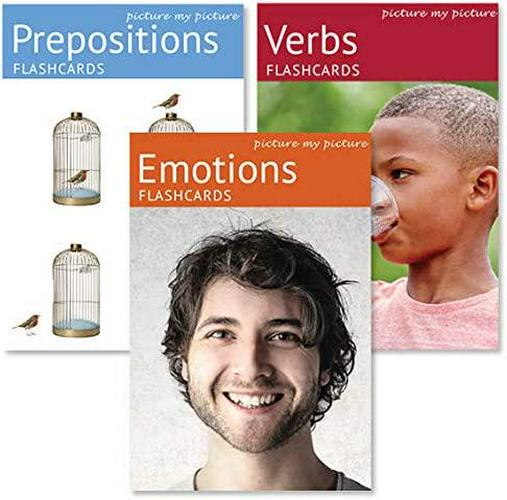 Picture My Picture Feelings and Emotions, Prepositions and Verbs Flash Card Pack