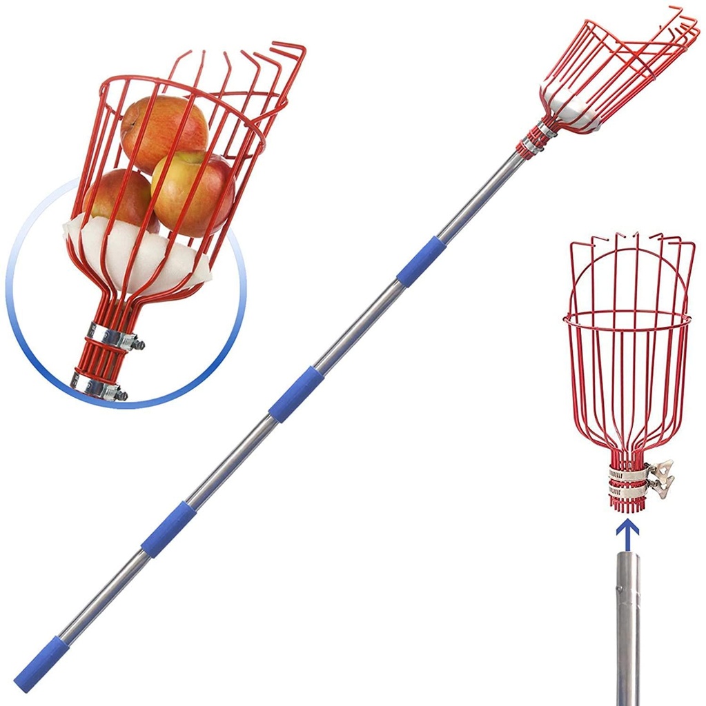 diig Fruit Picker, 8-Foot Fruit Picker Tool with Stainless Steel Connecting Pole, Fruit Picking Equipment for Getting Fruits Lemons, Apples, Guavas, Avocados, Pears, Mangoes, Oranges, Citrus