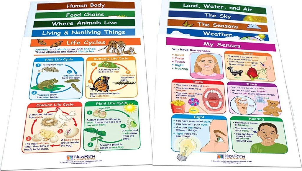 NewPath Learning 10 Piece Mastering Science Visual Learning Guides Set Grade 1