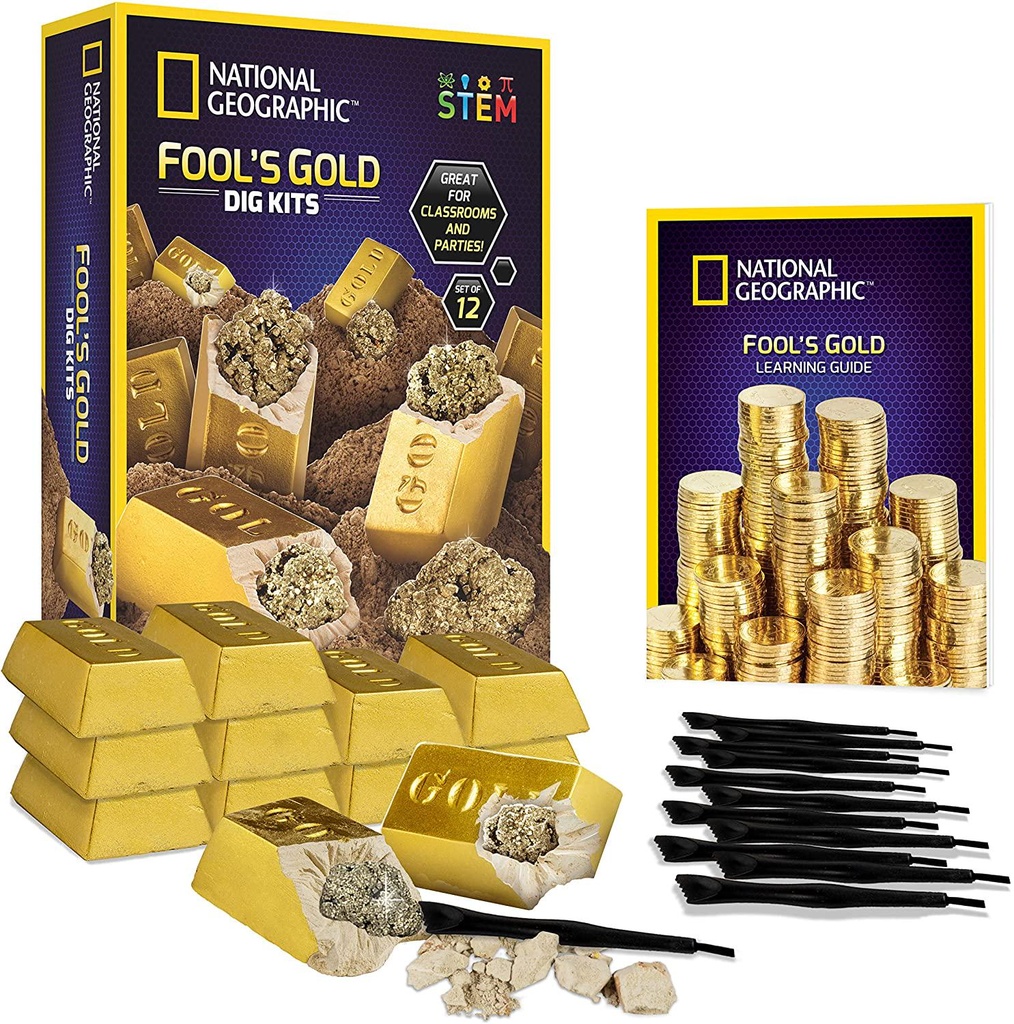 NATIONAL GEOGRAPHIC Fool S Dig Kit 12 Gold bar Dig Bricks with 2-3 Pyrite Specimens Inside, Party Activity with 12 Excavation Tool Sets, Great Stem Toy for Boys and Girls Or Party Favors