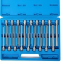 Neiko 10079A Extra Long Allen Hex Bit Socket Set, 18 Piece SAE and Metric Allen Socket Set, 3/8 Drive, 1/8" – 3/8 Inch & 3Mm – 10Mm, 6” Long Allen Hex Socket Bit Set, Allen Head Hex Key Socket Set …