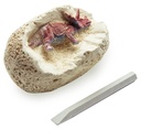 Thames & Kosmos I Dig It! Dino - Egg Excavation Kit, Styles May Vary, Unisex, Children Ages 5+