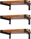 EZYDECOR 6 Pcs Heavy Duty Shelf Brackets 10 Inch Wall Mounted Industrial Metal Shelving Supports with Lip