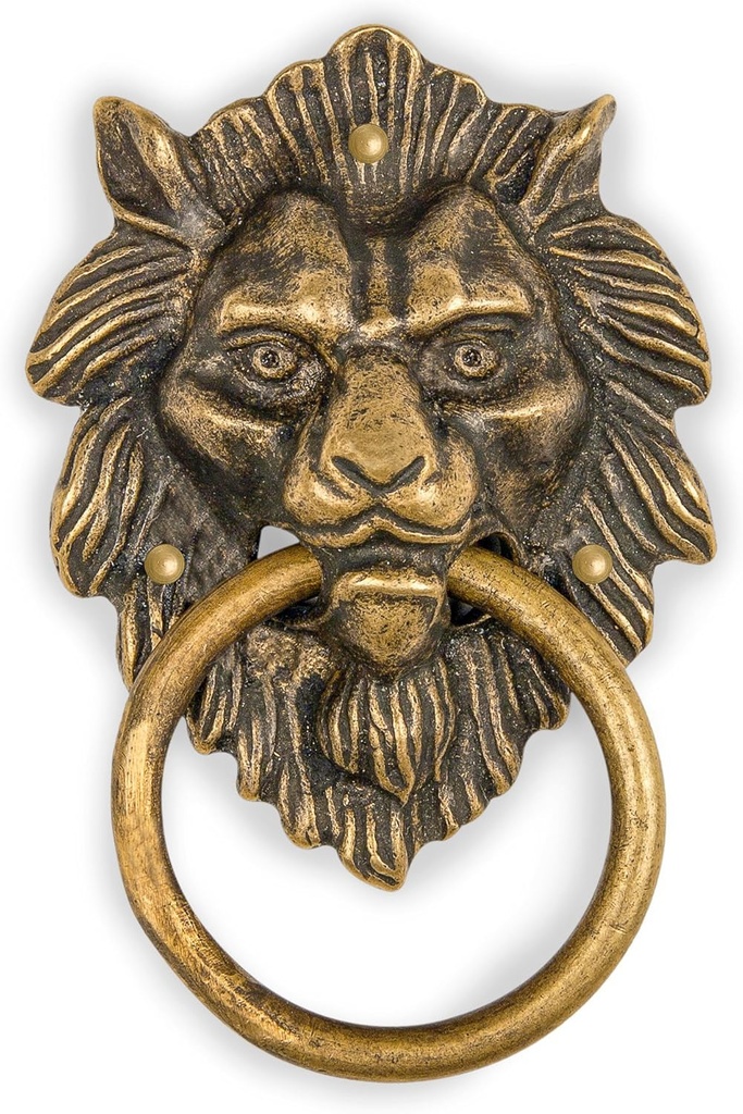 Hardware Philosophy Golden Hair Lion Brass Door Gate Pull Hardware 4"