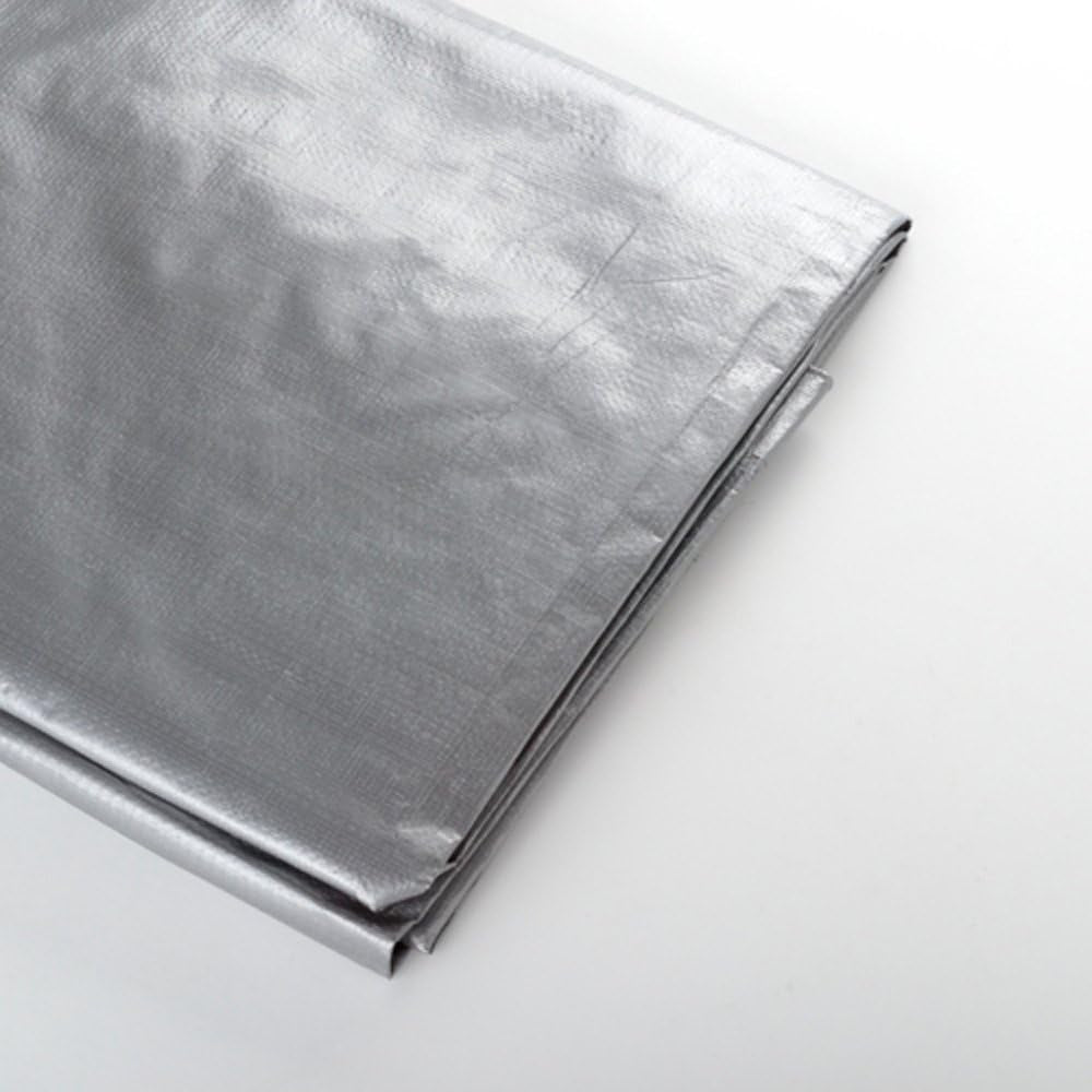 Heavy Duty Silver Tarp 25'X50'