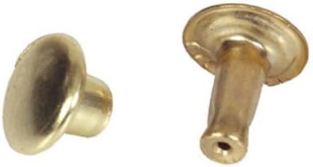 Brass-Plated Speedy Rivets, 12 Sets, Large