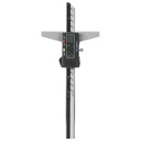 Depth Gauge, Stainless Steel Vernier Caliper, Mm / Inch Measurement System Conversion for Daily Use High Accuracy