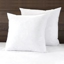 APSMILE 16X16 Goose Feather down Throw Pillow Inserts Set of 2 Premium Soft Cotton Euro Square Decorative Pillow Core Set Indoor Bed and Couch Pillows (White,2 Pack)