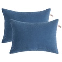 Ntbay 2 Pack Microfiber Ultra Soft Toddler Pillows, Machine Washable Travel Small Pillows with Excellent Resilience for Neck, Wrist, Lumbar and Knee Support, 13" X 18", Denim Blue