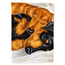 Carolines Treasures AMB1110CHF Dachshund Snuggles Flag Canvas House Size Large Multicolor