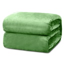 Lux Decor Collection Queen Fleece Blanket - Super Soft, Warm, Fuzzy & Cozy for All Seasons - Plush Microfiber Wearable Blanket (90X90, Green)