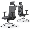 SIHOO Office Chair, Mesh Computer Ergonomic Chair with Adjustable Lumbar Support, High Back Chair for Big and Tall, Black