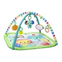 Bright Starts Wild Wiggles Baby Activity Gym & Play Mat, Foldaway Toy Bar, Newborn, Unisex (Green)