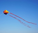 Besra Colorful Parafoil Kite with Long Tail Easy to Fly Outdoor Fun Sports for Kids and Adults