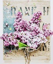 Likeyfactory Paint by Numbers Kit for Adults Kids on Canvas with Paintbrushes Color Acrylic DIY Drawing Premium Quality Colorwork Paintwork Pale Violet Lilac Flowers 16x20inch