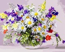 DIY Paint by Numbers for Adults and Kids Canvas Oil Painting Kit 16 W x 20 L SENWANG Painting by Number Kit on Canvas Crafts for Adults for Home Wall Wedding Party Decoration - Blooming Daisy