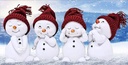 Snowman Diamond Painting Kits, Full Drill Diamond Painting with New Upgrade Toolkit Perfect for Parent Child Activity and Child Gift Christmas Snowman12x20inch