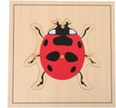 LEADER JOY Montessori Nature Materials Ladybug Puzzle for Early Preschool Learning Toy