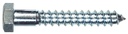 Hillman Lag Screw 1/4 " X 1 " Grade 2 Hex Head