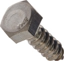 832028 5/16 X 1-Inch Stainless Steel Hex Lag Screw, 50-Pack, 1 Inches, No Color